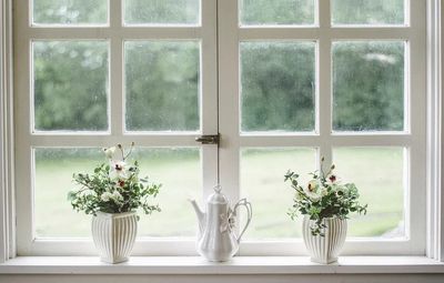 porcelain teapot two potted plants. poster print