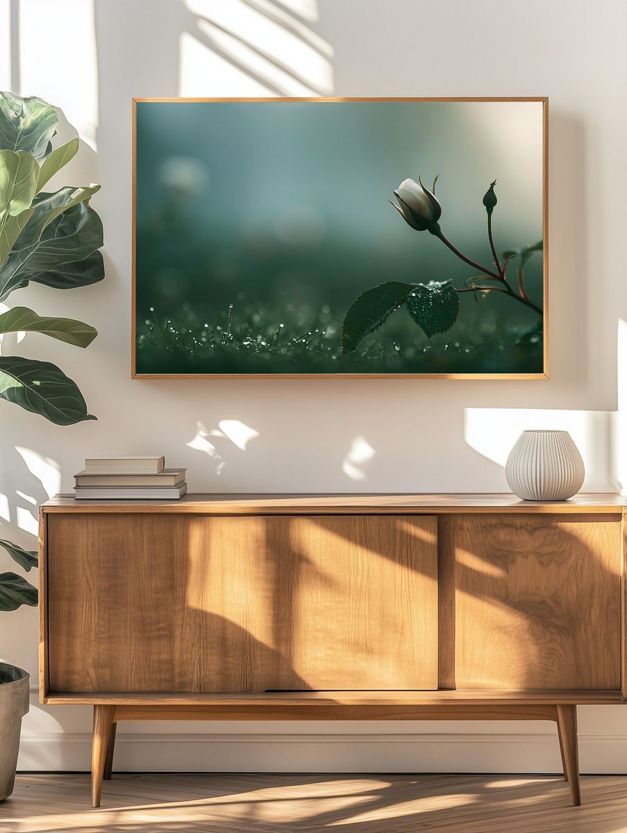 Morning Rose Bud Photography Poster. — room view 3