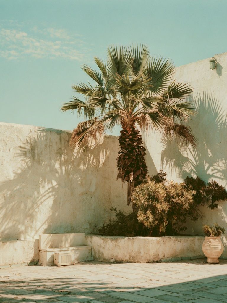 Palm Courtyard Photography Poster. poster — photography art