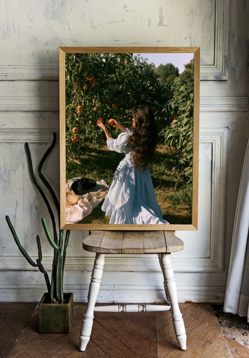 Peach Orchard Harvest Photography Poster. — room view 1