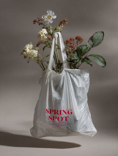 Spring Spot Still Life Poster. poster print