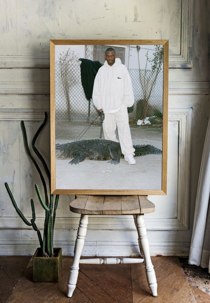 Man with Alligator Street Photography Poster. room preview