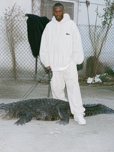Man with Alligator Street Photography Poster. poster