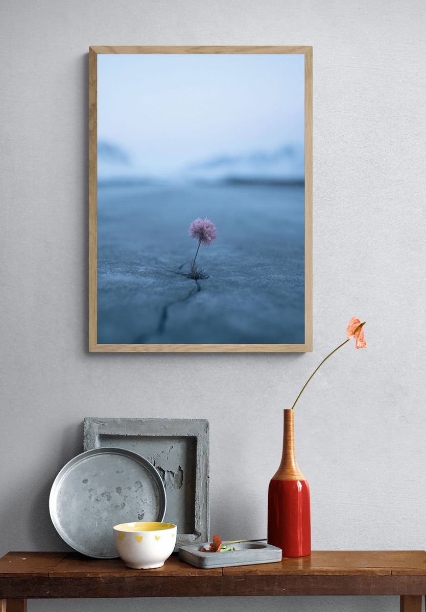 Lonely Bloom in Blue Landscape Poster. — room view 3