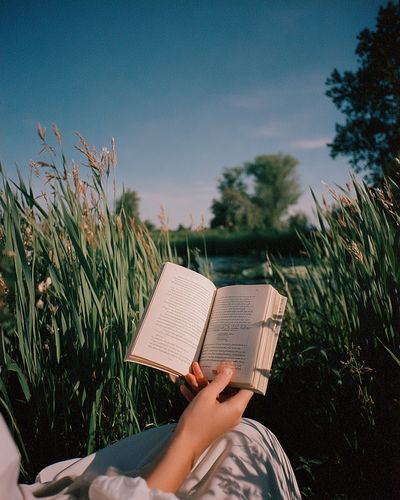 Reading in the Meadow Photography Poster. poster print