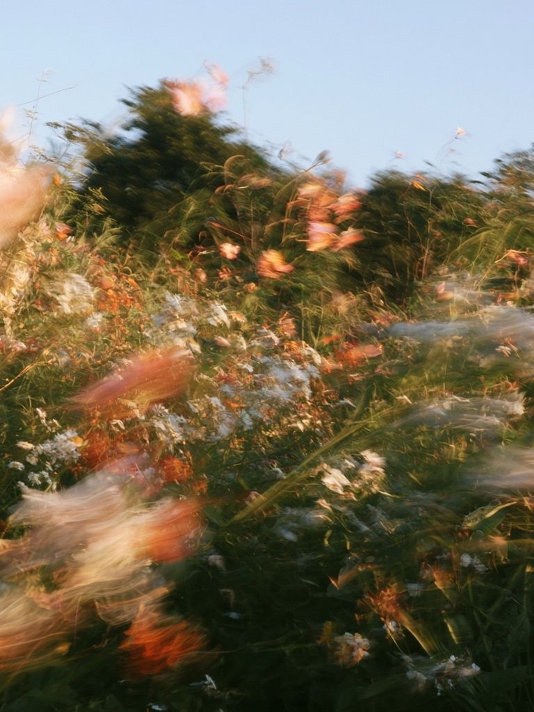 Wildflower Breeze Photography Poster. poster — photography art