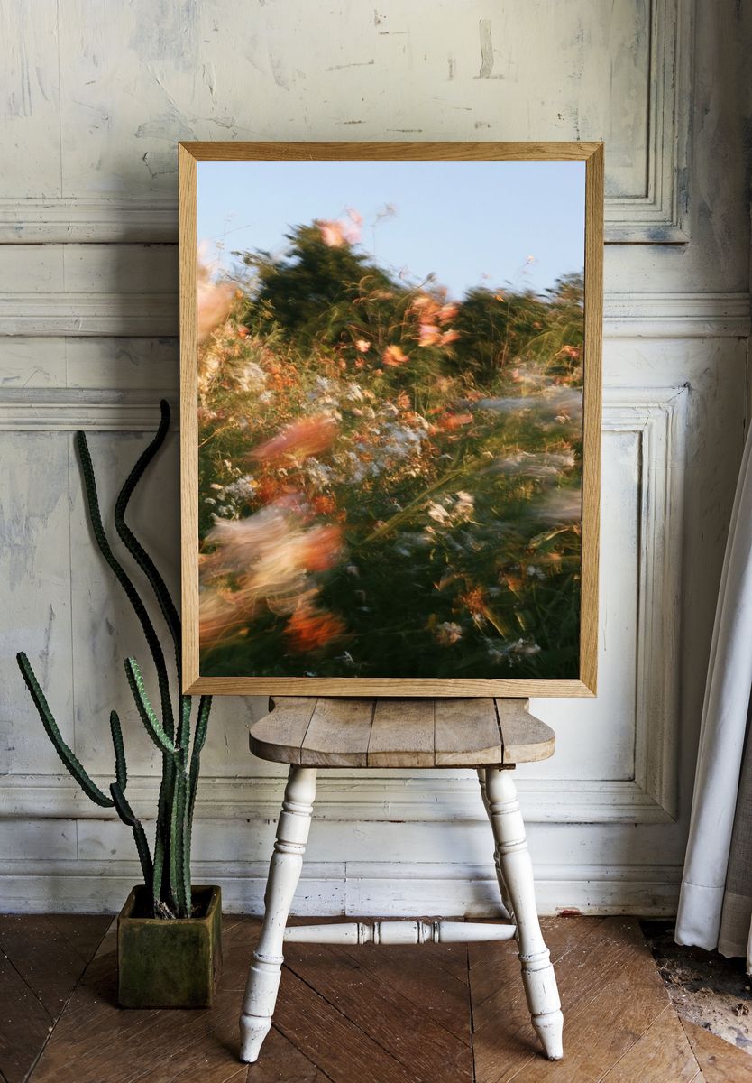 Wildflower Breeze Photography Poster. room preview
