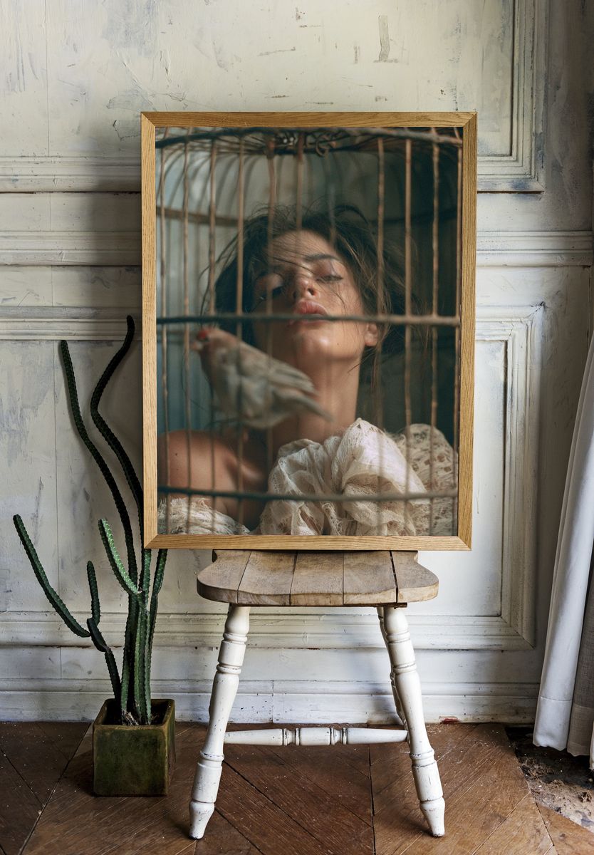 Birdcage Portrait Photography Poster. — room view 1