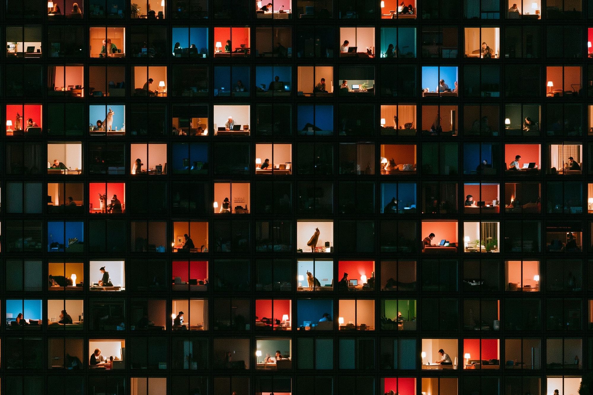 Lit Office Windows Photography Poster. poster — photography art