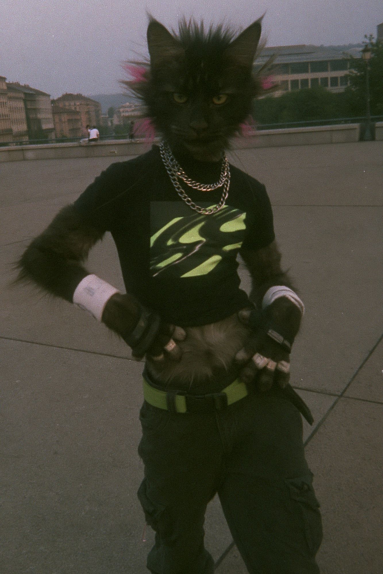 Cyber Cat Street Portrait Poster. poster — photography art