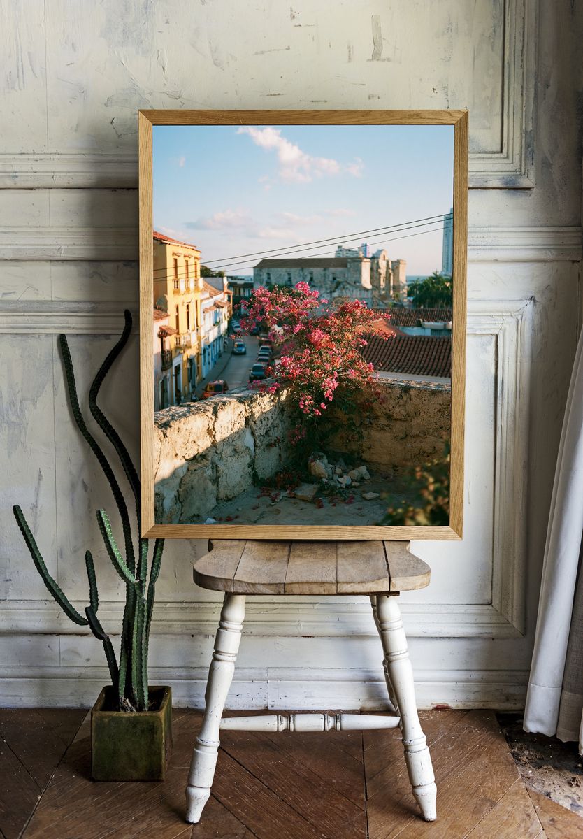 Old Town Bougainvillea Street Poster. room preview
