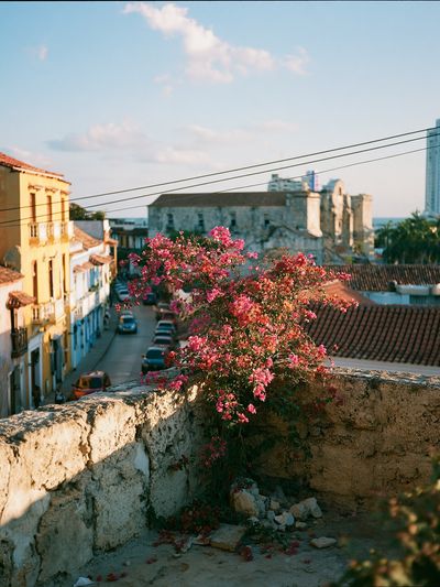 Old Town Bougainvillea Street Poster. poster