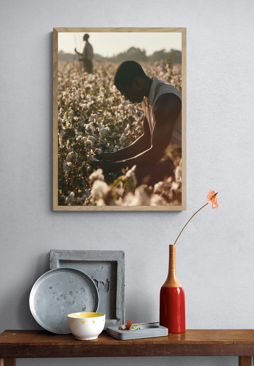 Cotton Field Harvest Photography Poster. — room view 3