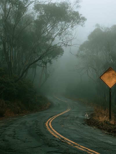 Misty Forest Road Photography Poster. poster
