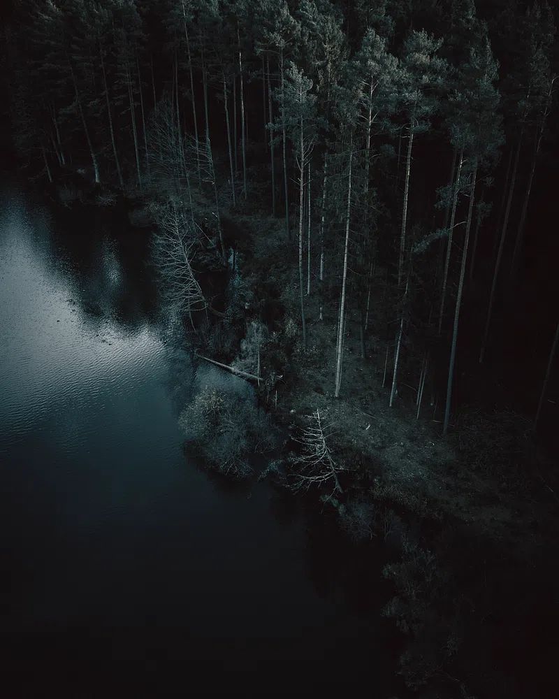 Aerial view dark forest Nuremberg. poster detail