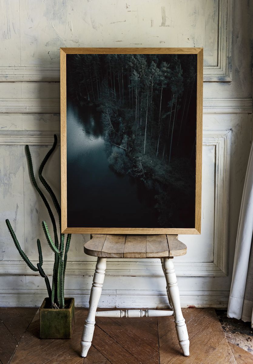 Aerial view dark forest Nuremberg. — room view 1