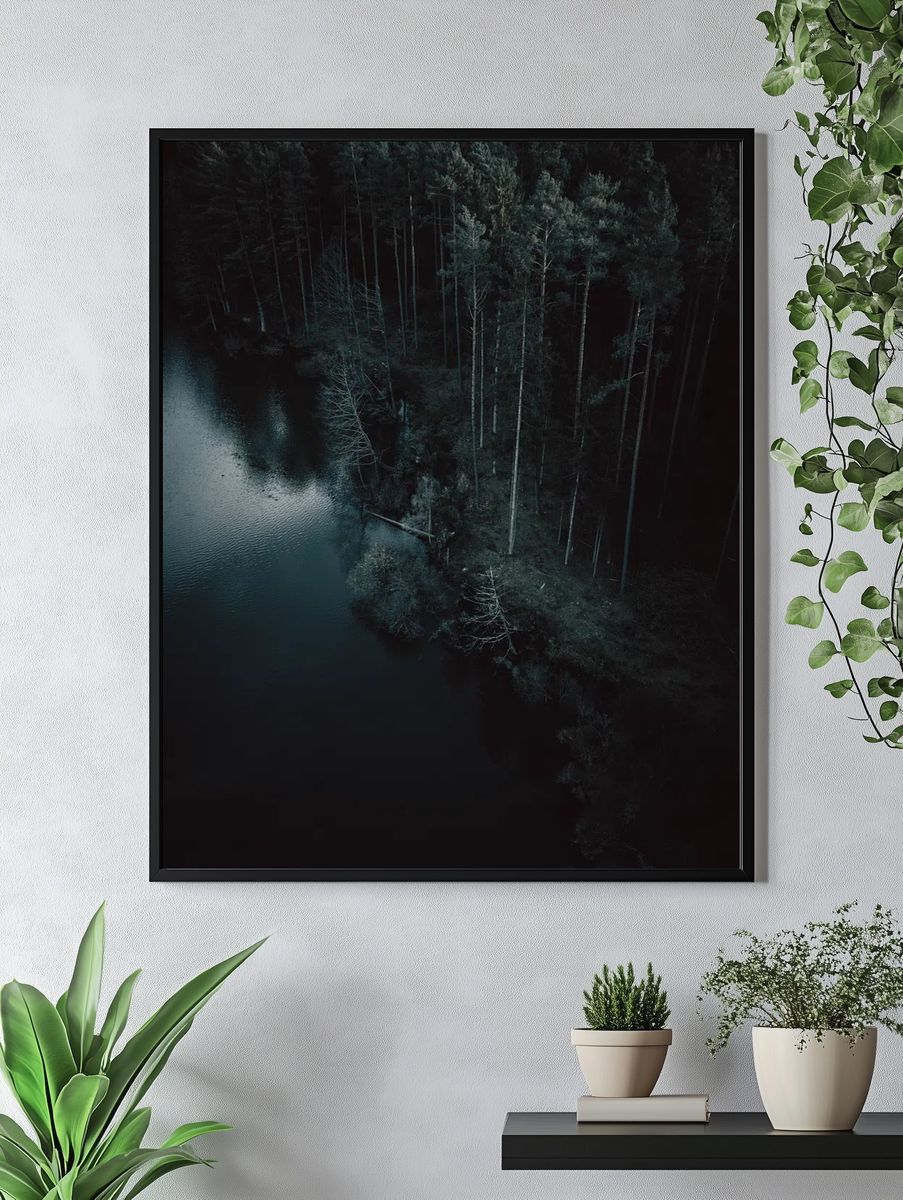 Aerial view dark forest Nuremberg. — room view 4
