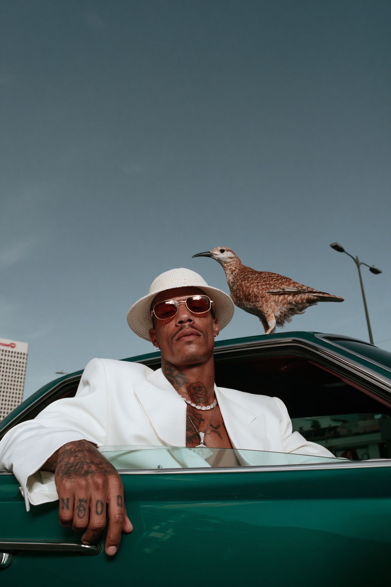 Stylish Portrait with Bird Photography Poster. poster — photography art