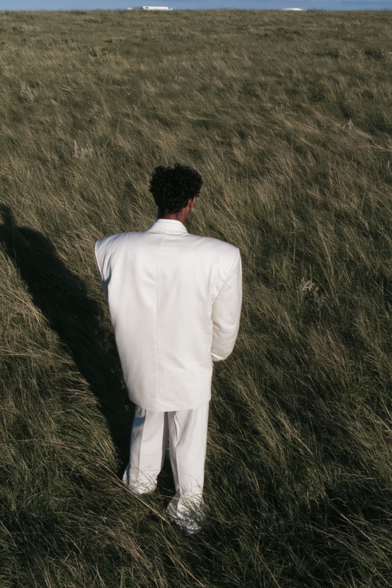 Solitary Figure in Grass Photography Poster. poster detail