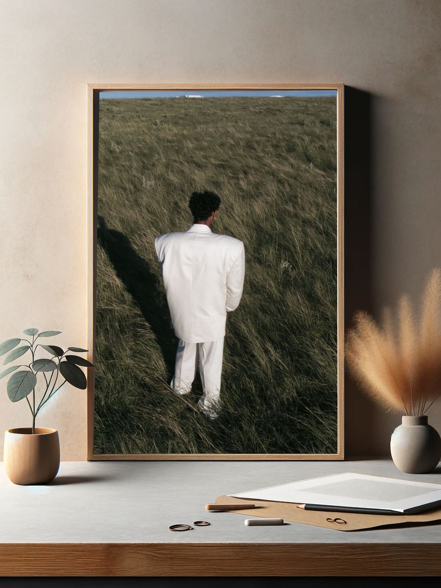 Solitary Figure in Grass Photography Poster. — room view 2