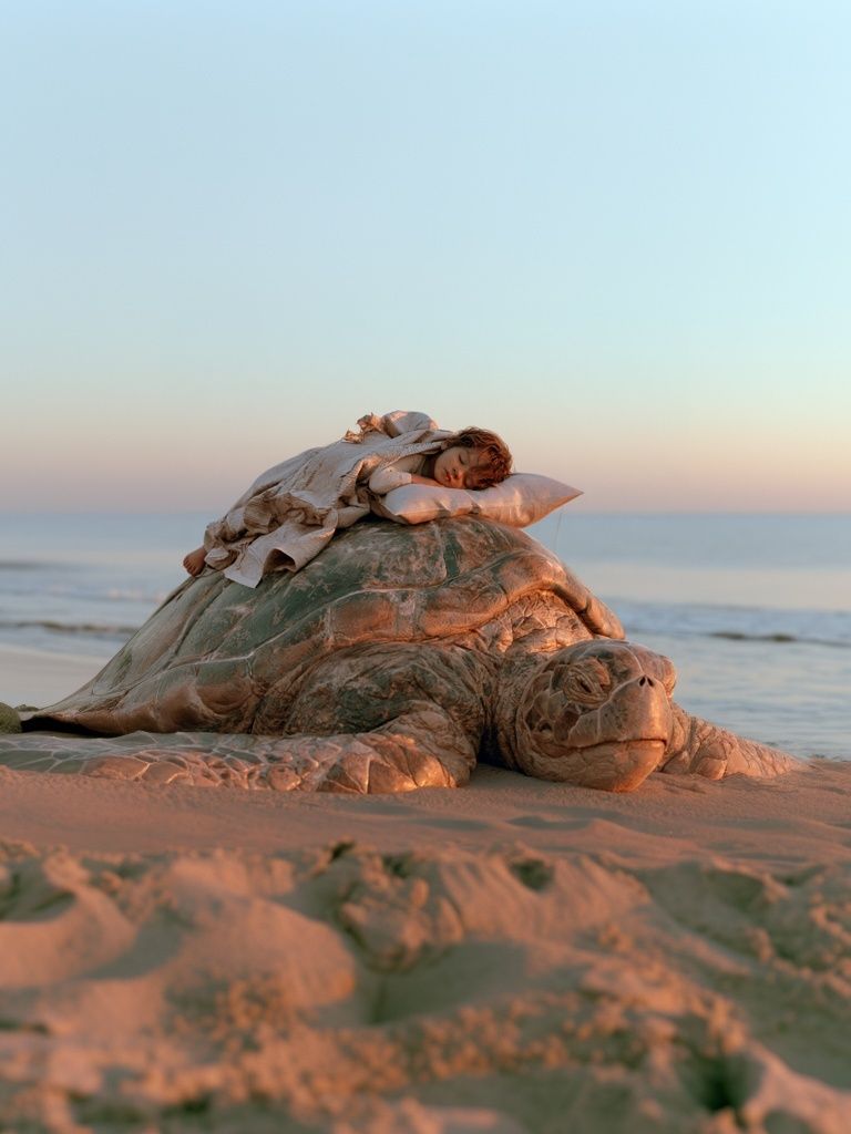 Sea Turtle Beach Dream Photography Print. poster — photography art