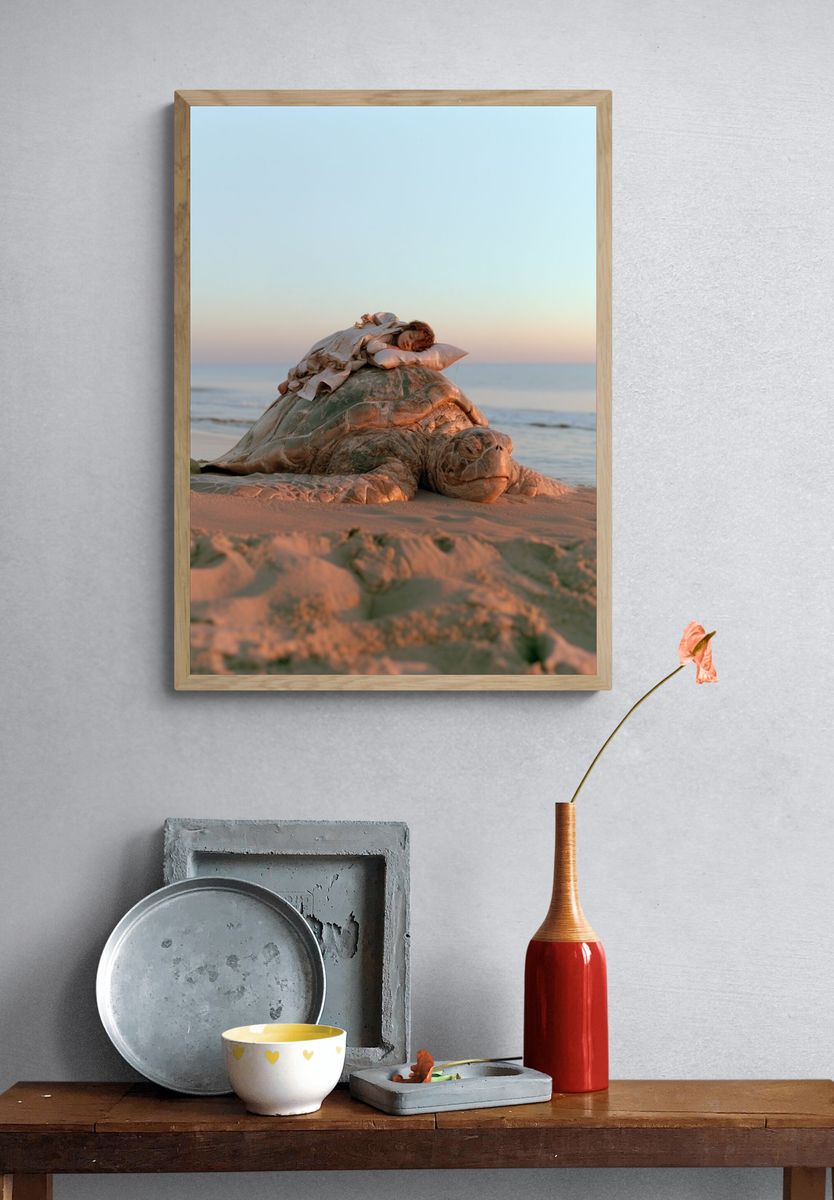 Sea Turtle Beach Dream Photography Print. — room view 3