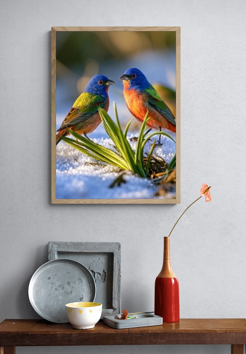 Colorful Birds in Snow Photography Poster. — room view 3