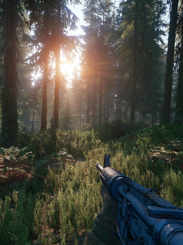 Sunlit Forest Rifle Scene Poster. poster — photography art