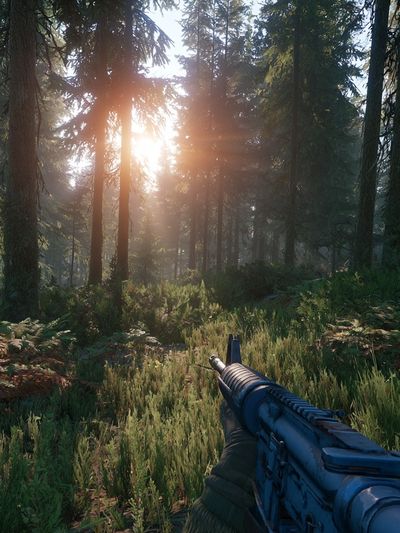 Sunlit Forest Rifle Scene Poster.