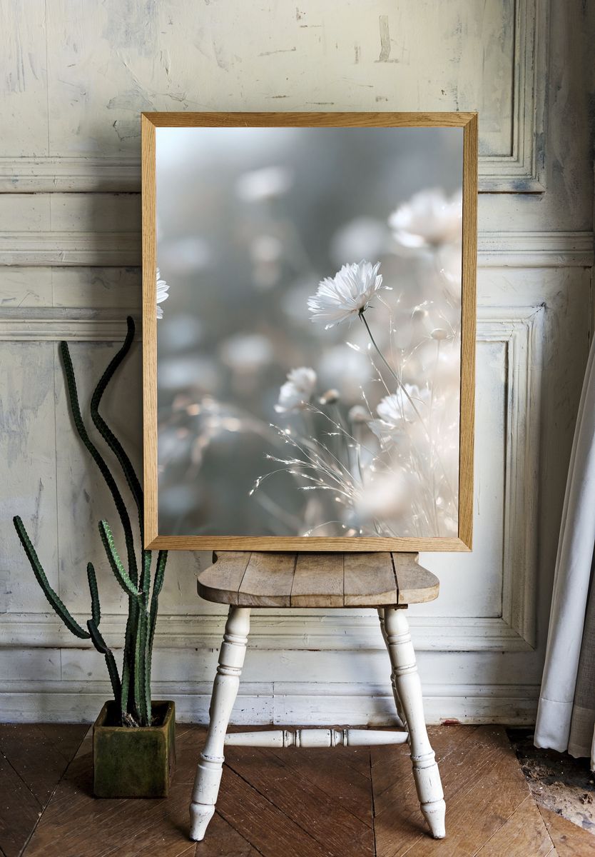 Soft White Wildflowers Photography Poster. — room view 1
