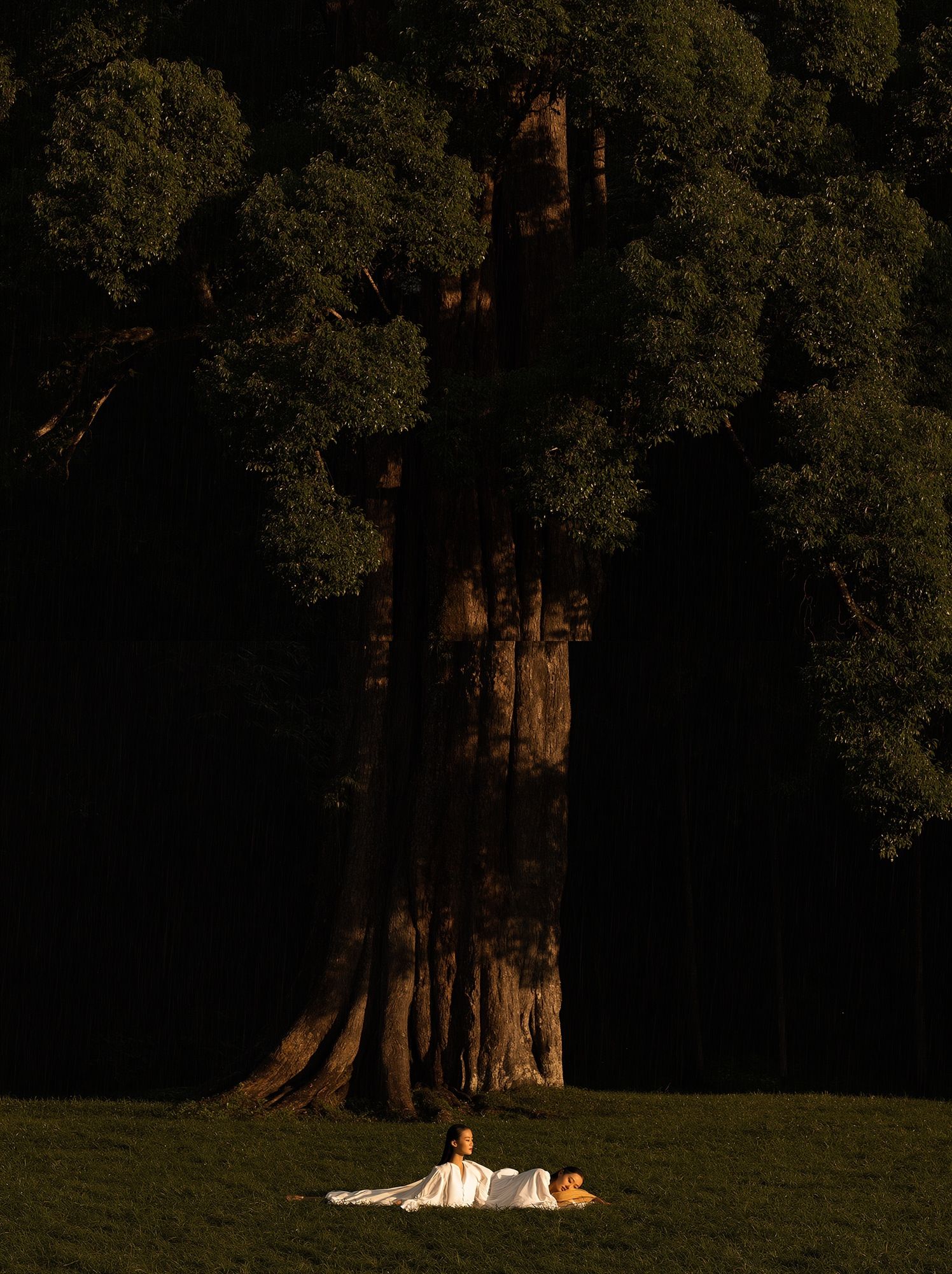 Sunlit Tree and Figures Photography Poster. poster — photography art