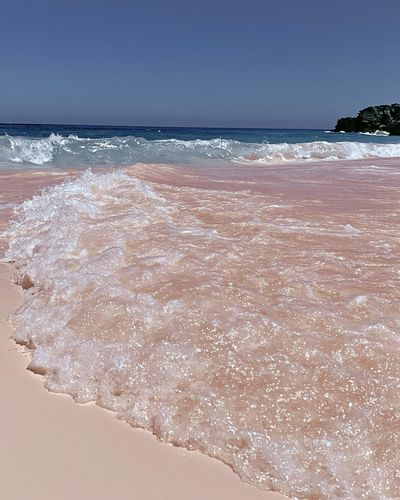 Pink Shoreline Ocean Photography Poster. poster