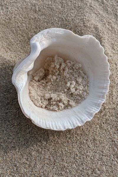 Seashell on Sand Photography Poster. poster
