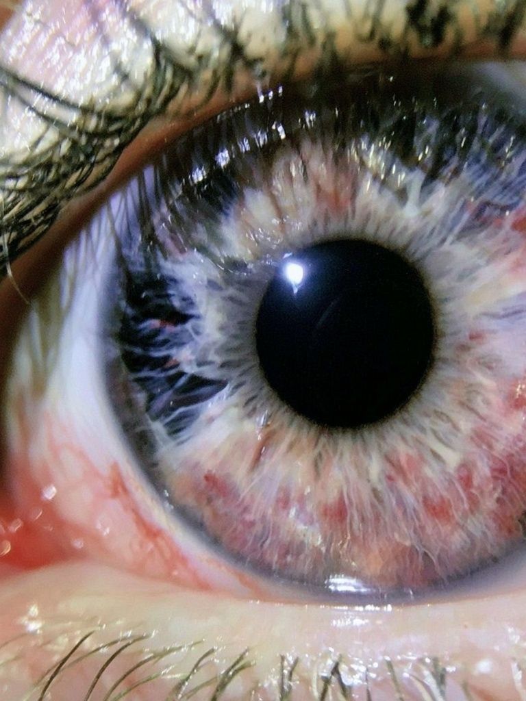 Human Eye Macro Photography Poster. poster — photography art