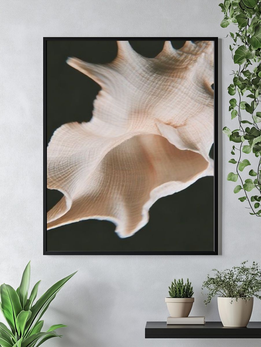 Seashell Close-Up Photography Poster. — room view 4