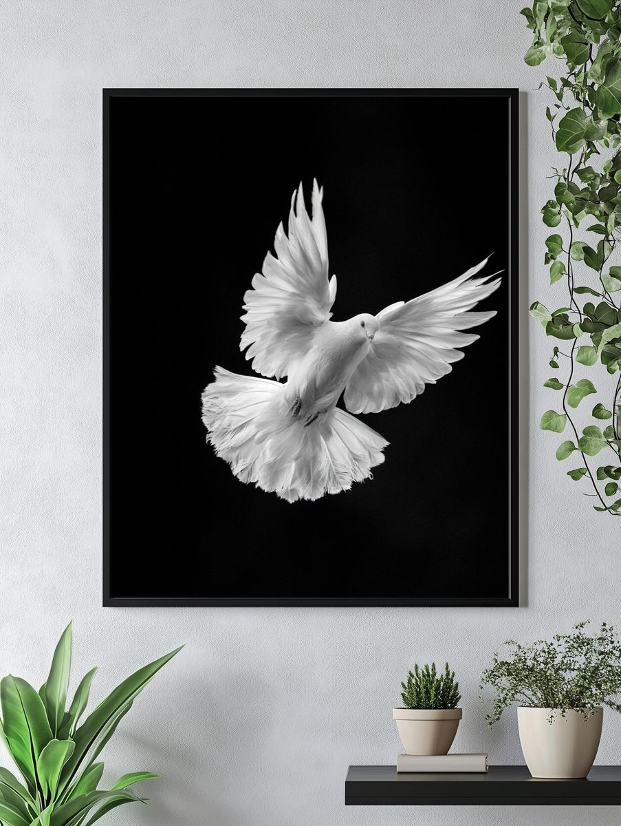 White Dove in Flight Photography Poster. — room view 4