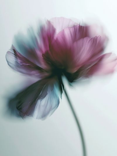 Blurred Flower Photography Poster. poster