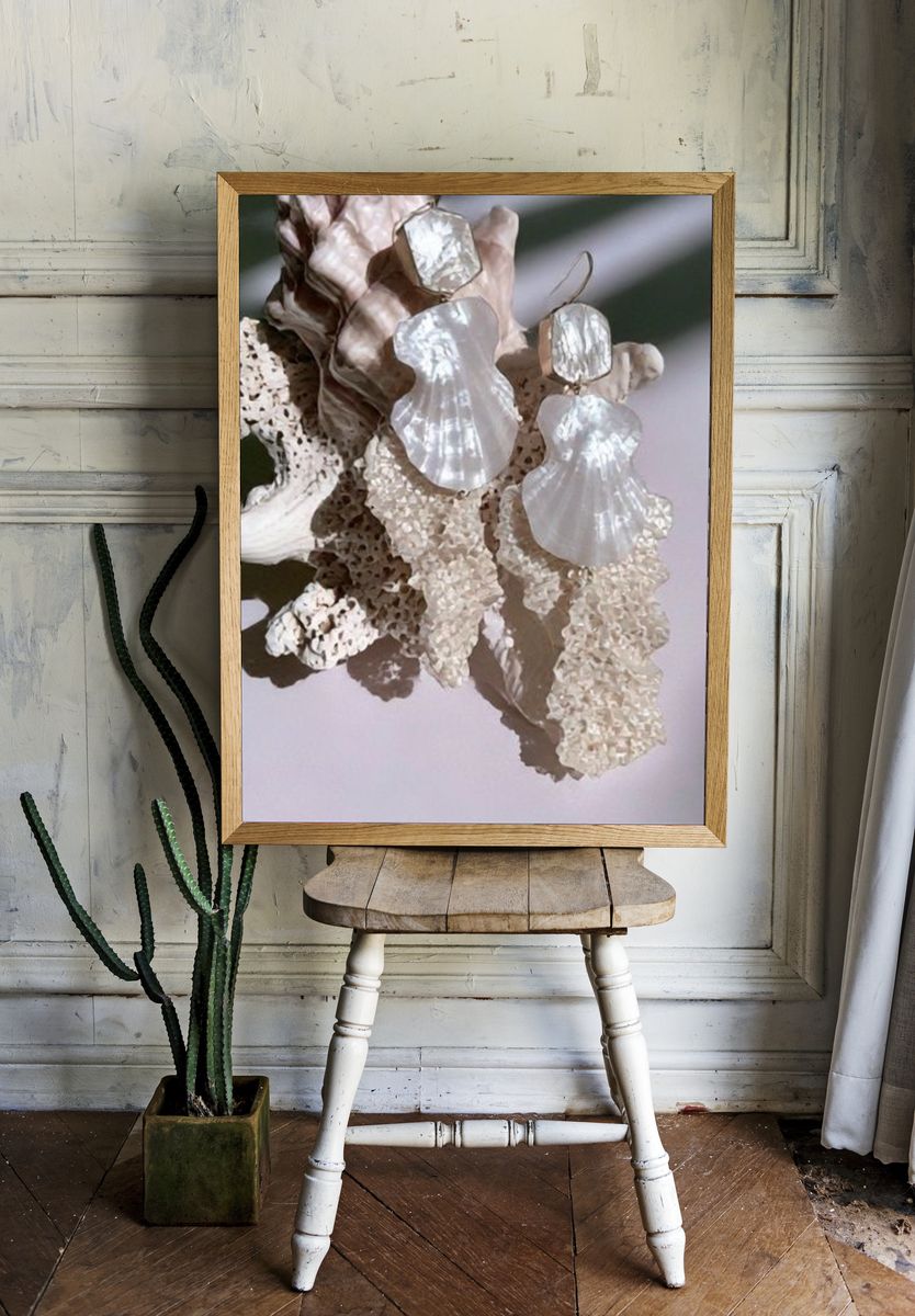 Seashell Still Life Photography Poster. room preview