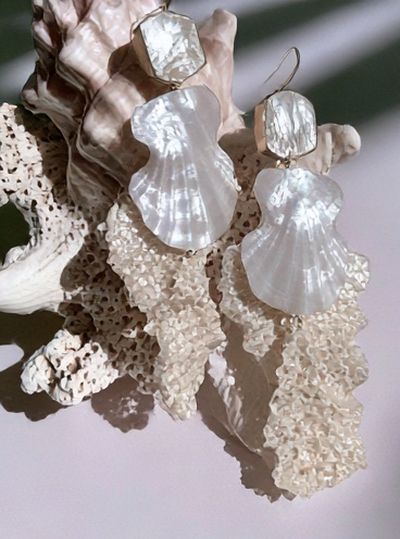 Seashell Still Life Photography Poster. poster