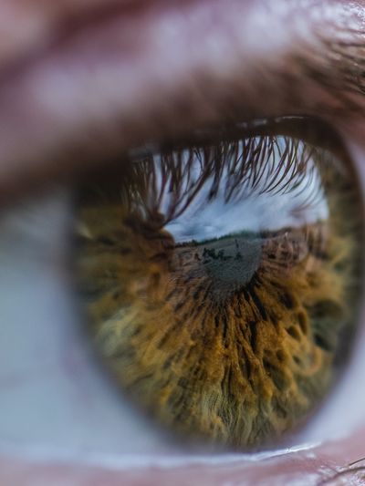 Reflective Eye Photography Poster. poster