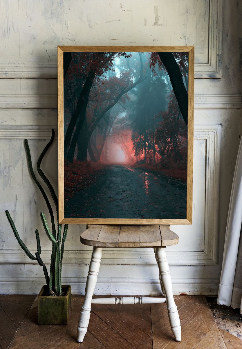 Misty Forest Path Photography Poster. — room view 1