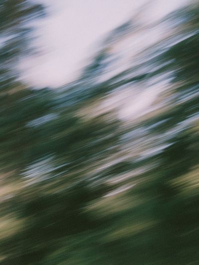 Blurred Forest Motion Photography Poster. poster