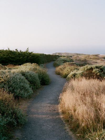 Coastal Path Landscape Poster. poster print