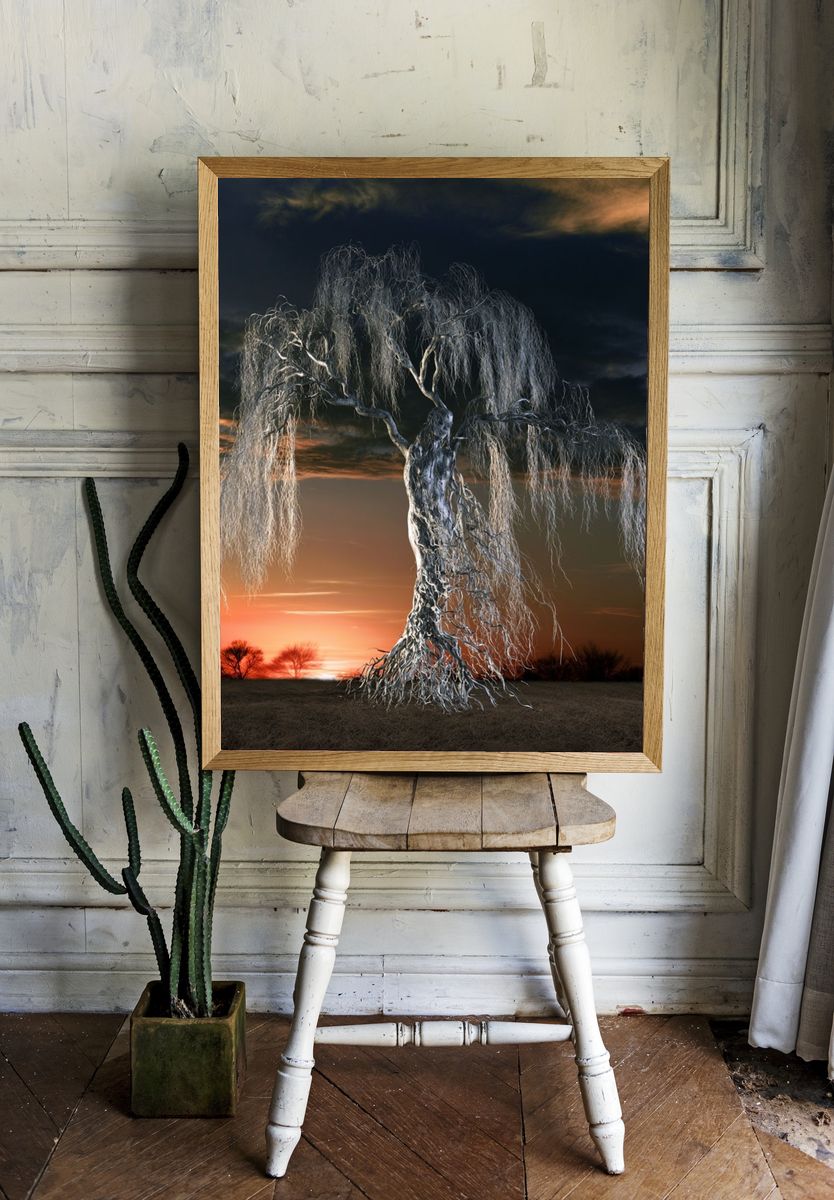 Twilight Willow Tree Photography Poster. — room view 1