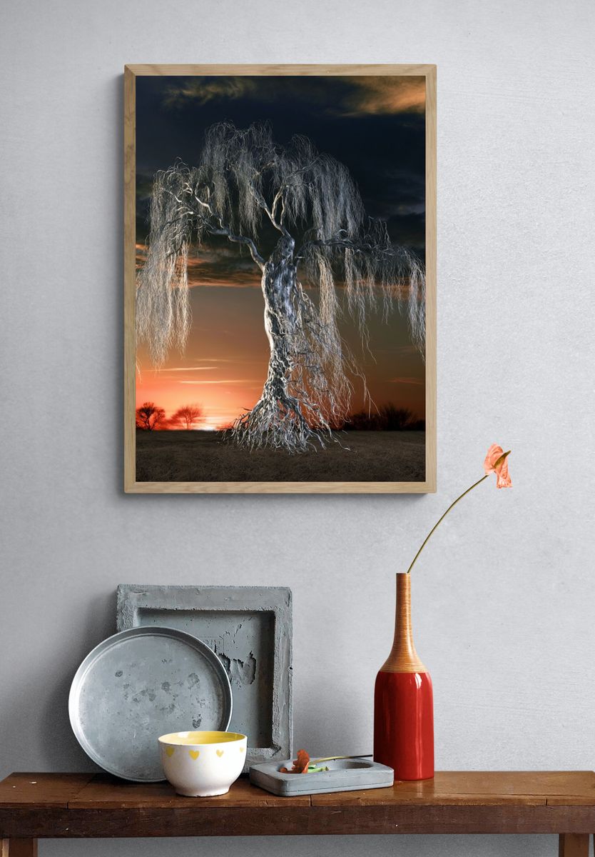 Twilight Willow Tree Photography Poster. — room view 3