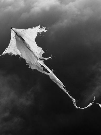 Tattered Kite Black-White Poster. poster
