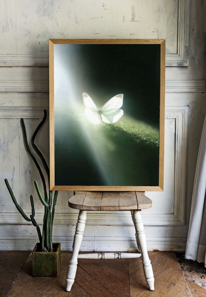 Butterfly Lightbeam Photography Poster. — room view 1