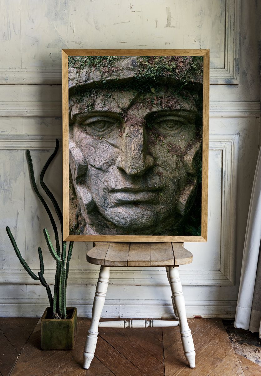Stone Face in the Forest Poster. room preview
