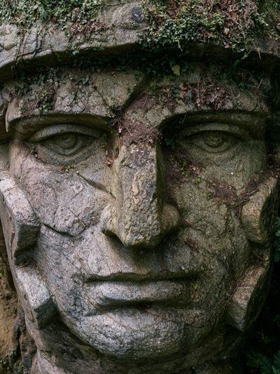 Stone Face in the Forest Poster.
