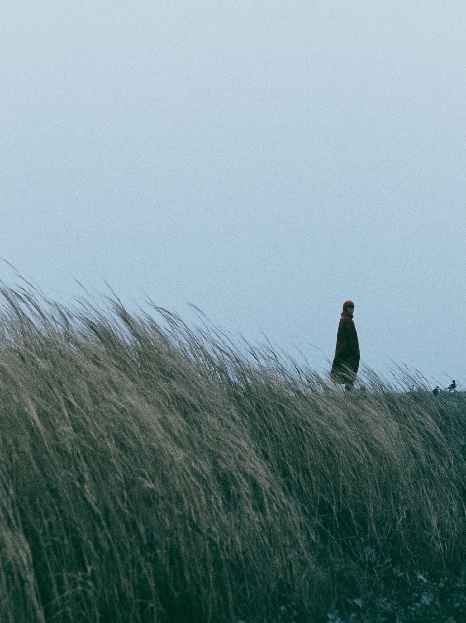 Solitary Figure in Dunes Photography Poster. poster detail